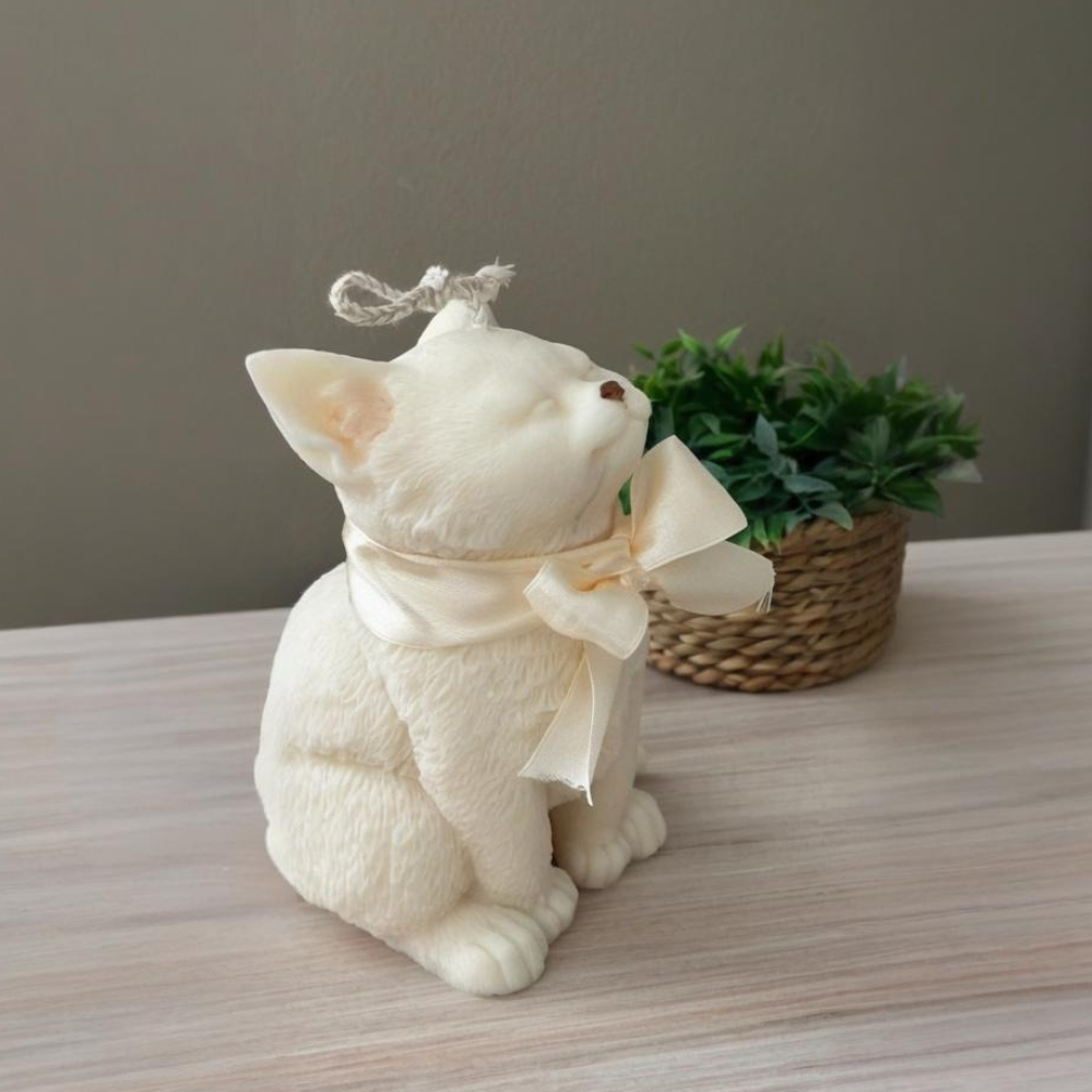 Smile Cat Silicone Mold for DI - огляд і ціна Soap Making Gifts
