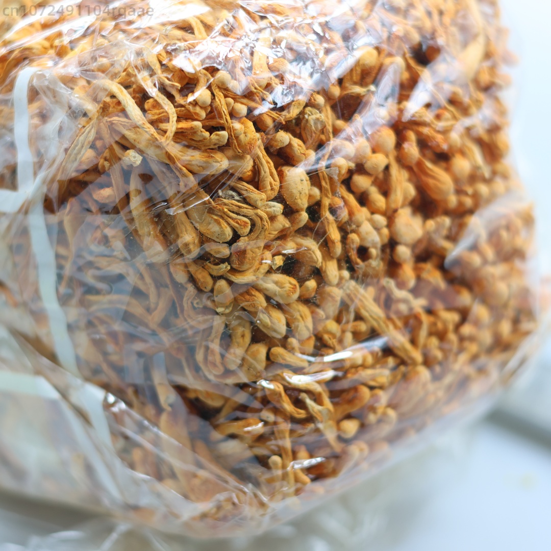 250g/500g Premium Natural Drie - огляд і ціна Soap Making Diy Kit